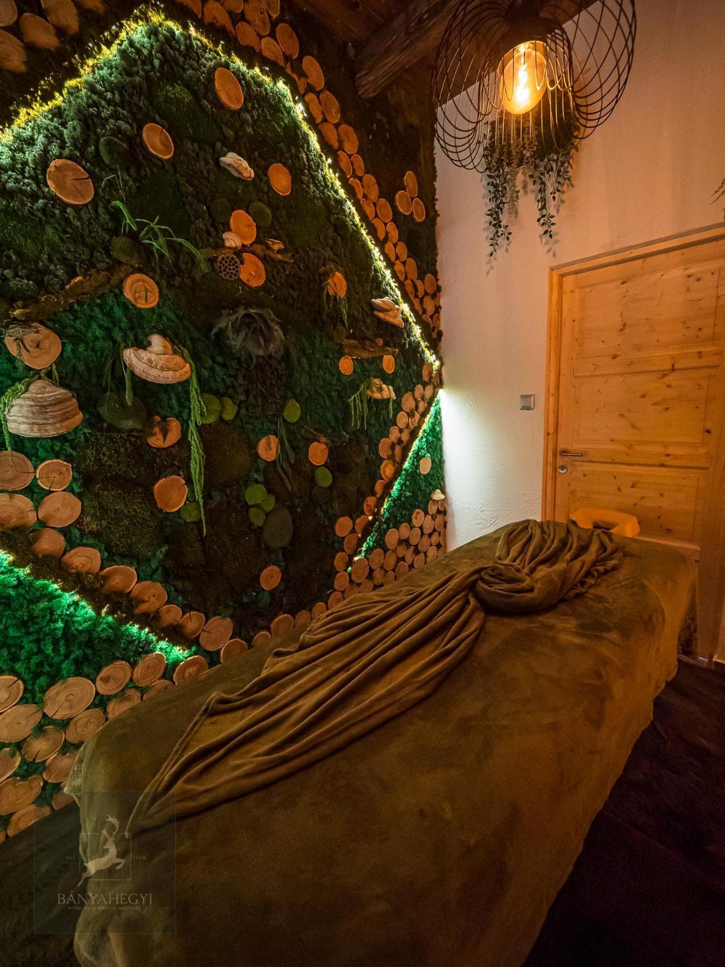 Banyahegyi Erdei Nyugalom Es Wellness Erdesz & Vadaszhaz Tardos Экстерьер фото